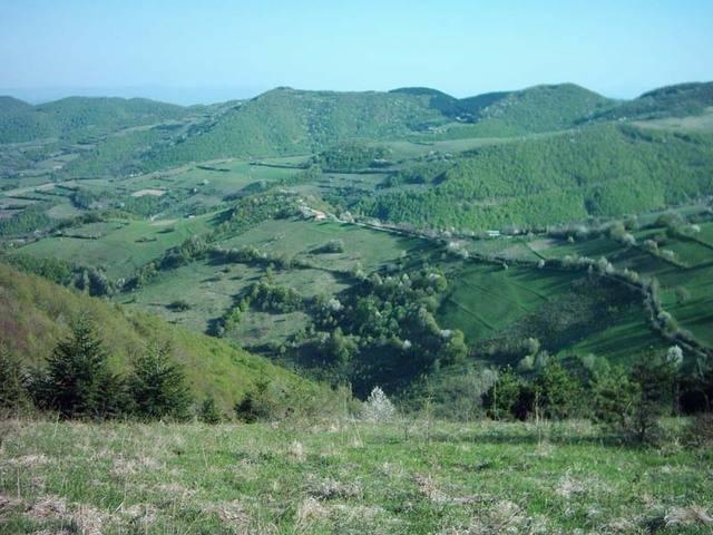 image014.jpg - Sumadija