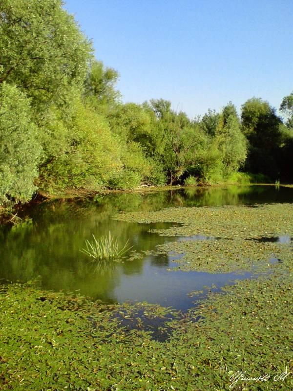 image052.jpg - Nera River